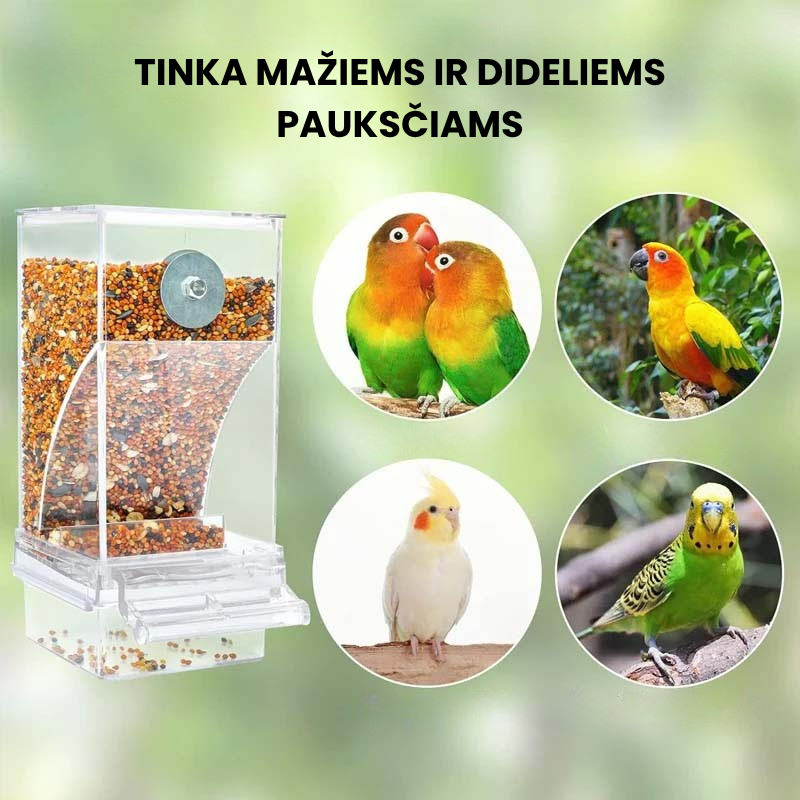 🐦Automatinė skaidri paukščių lesyklėlė