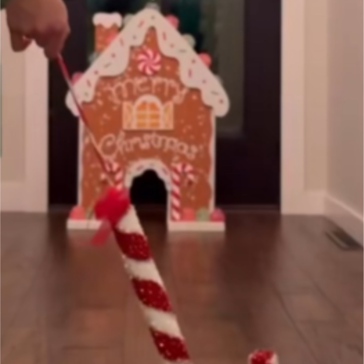 🎁 Imbierinių sausainių golfo žaidimas